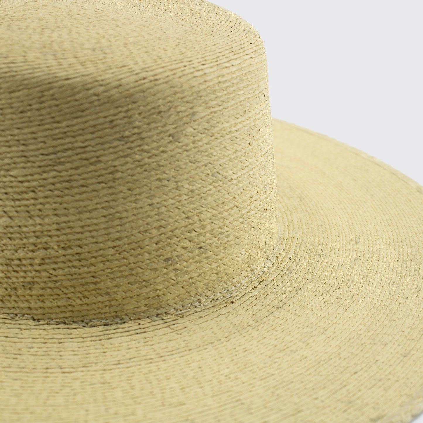 FINE PALM HAT