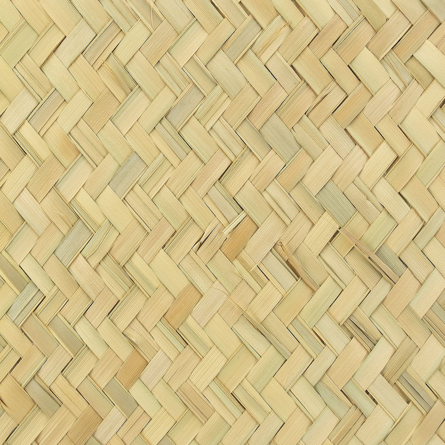 PALM FLOOR MAT