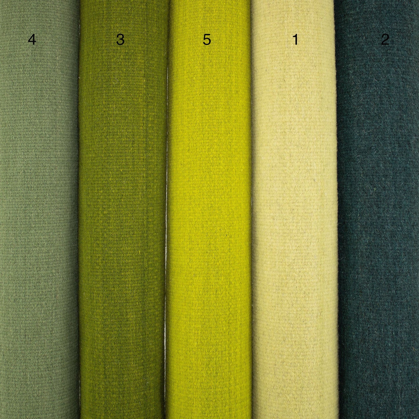 PURE WOOL RUG / COLOR SCALE TREE