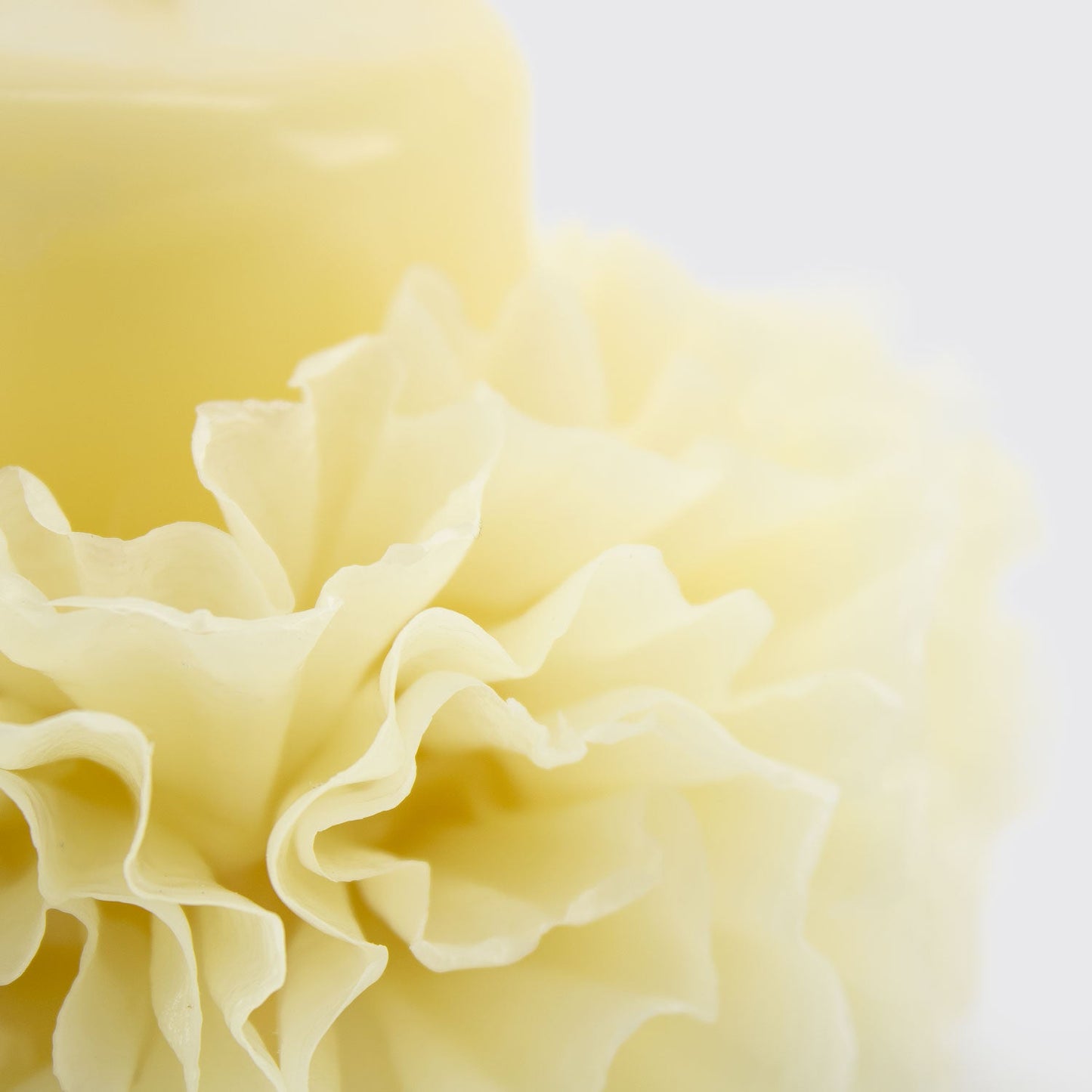 WAX FLOWERS CANDLE / CHICA