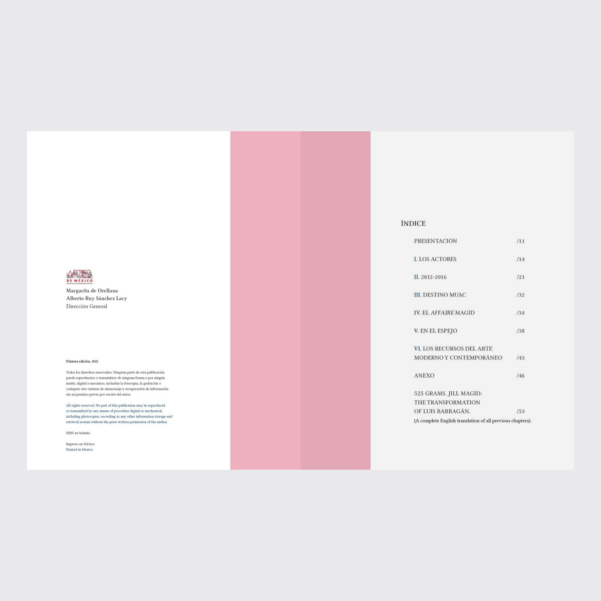 LIBRO / 525 GRAMOS. Laura Ayala Castellanos
