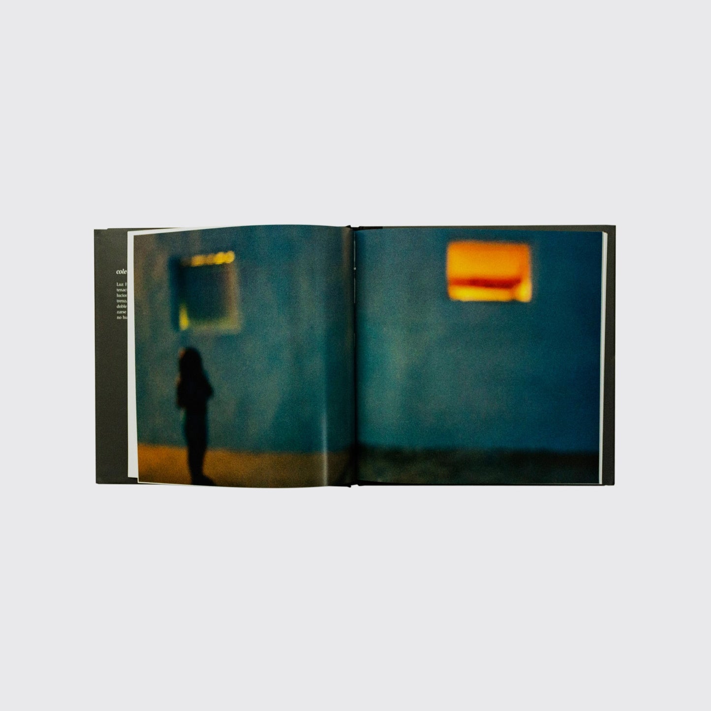 BOOK / SEVEN DIOPTRES. Nirvana Paz, Nuria Gómez Benet, Bernard Plossu