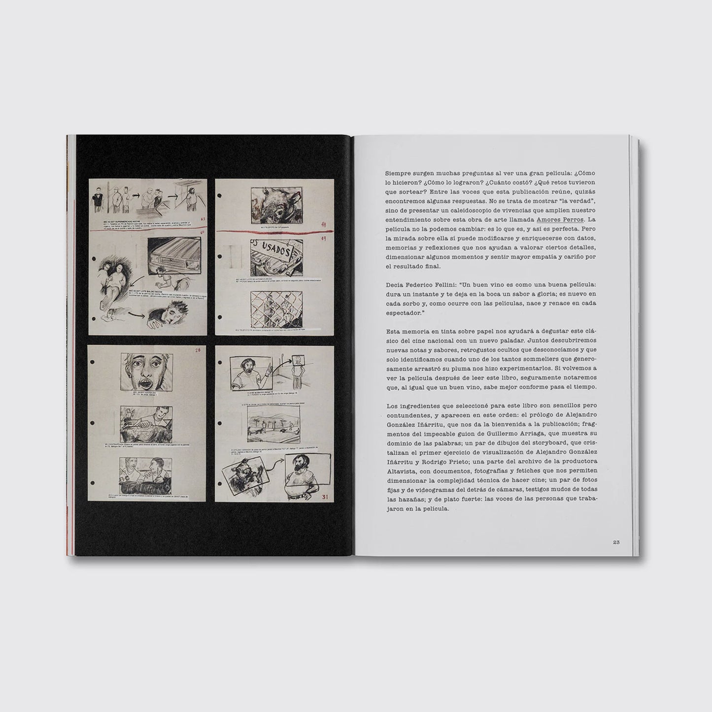 LIBRO / DESATAR AMORES PERROS. Fernando Llanos