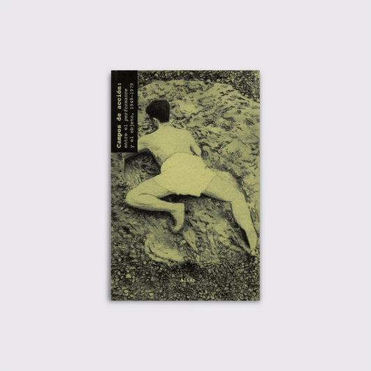 BOOK / FIELDS OF ACTION 2. Paul Schimmel
