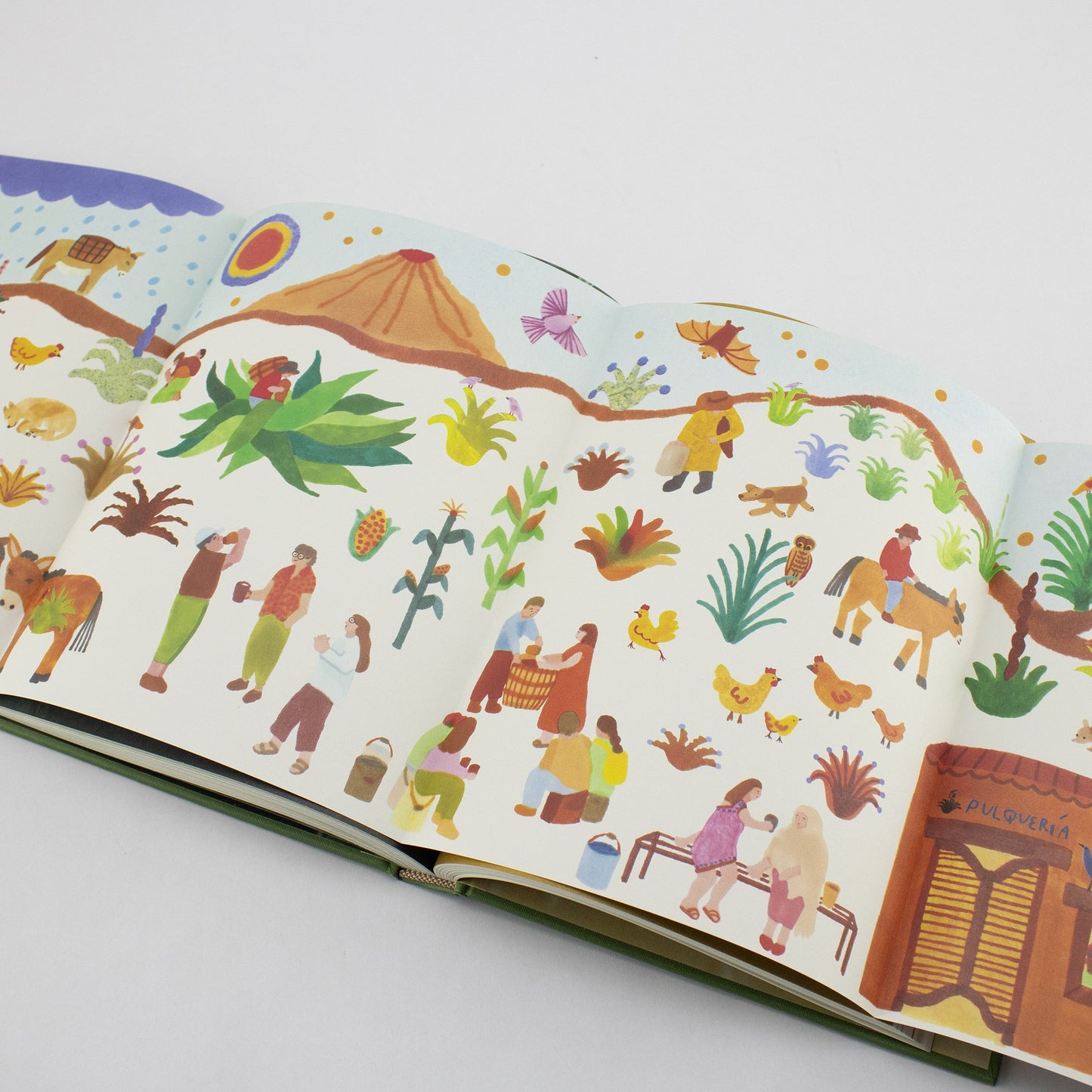 BOOK / ¡QUÉ VIVA EL PULQUE! Juan Escalona