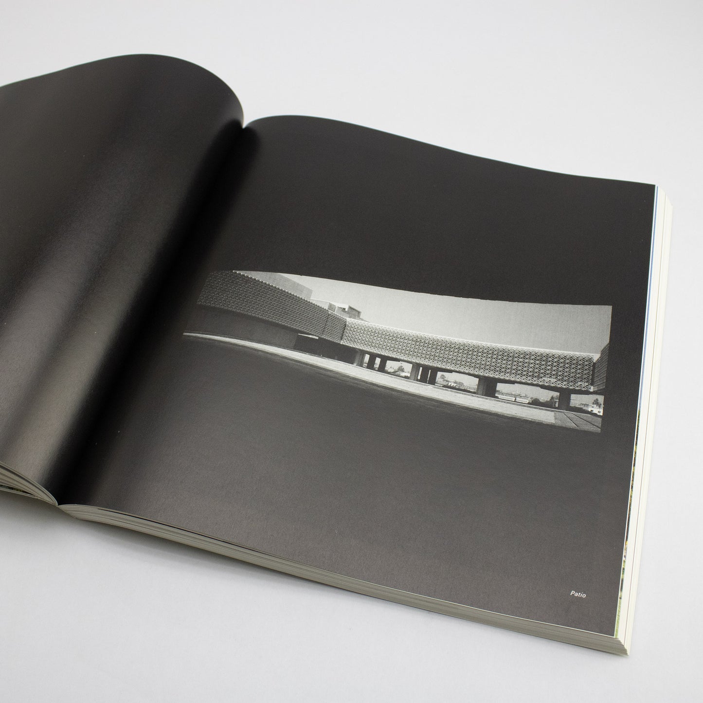 LIBRO / RAMIREZ VAZQUEZ