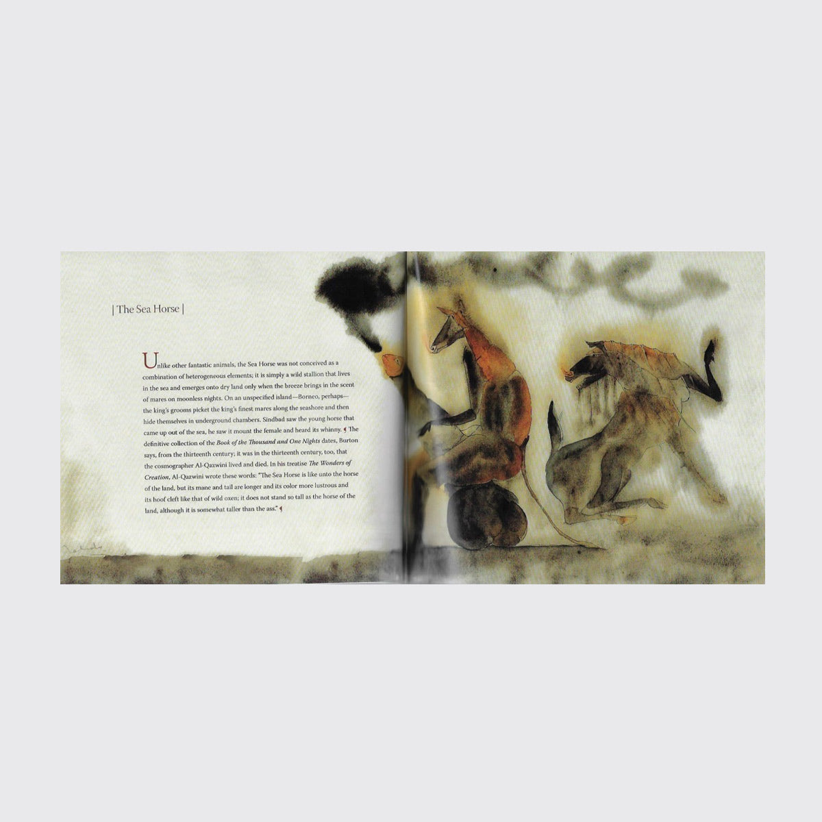 BOOK /  FANTASTIC ZOOLOGY. Francisco Toledo