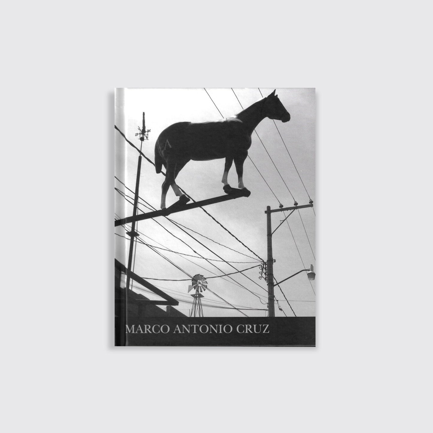 BOOK / "BESTIARY." Marco Antonio Cruz