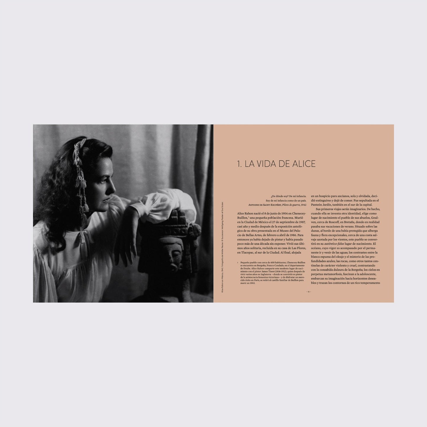 BOOK / ALICE RAHON, A MEXICAN DESTINATION. Christine Frerot