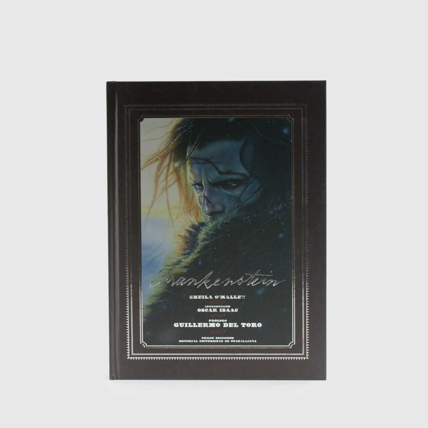 BOOK / FRANKENSTEIN. Sheila O’Malley