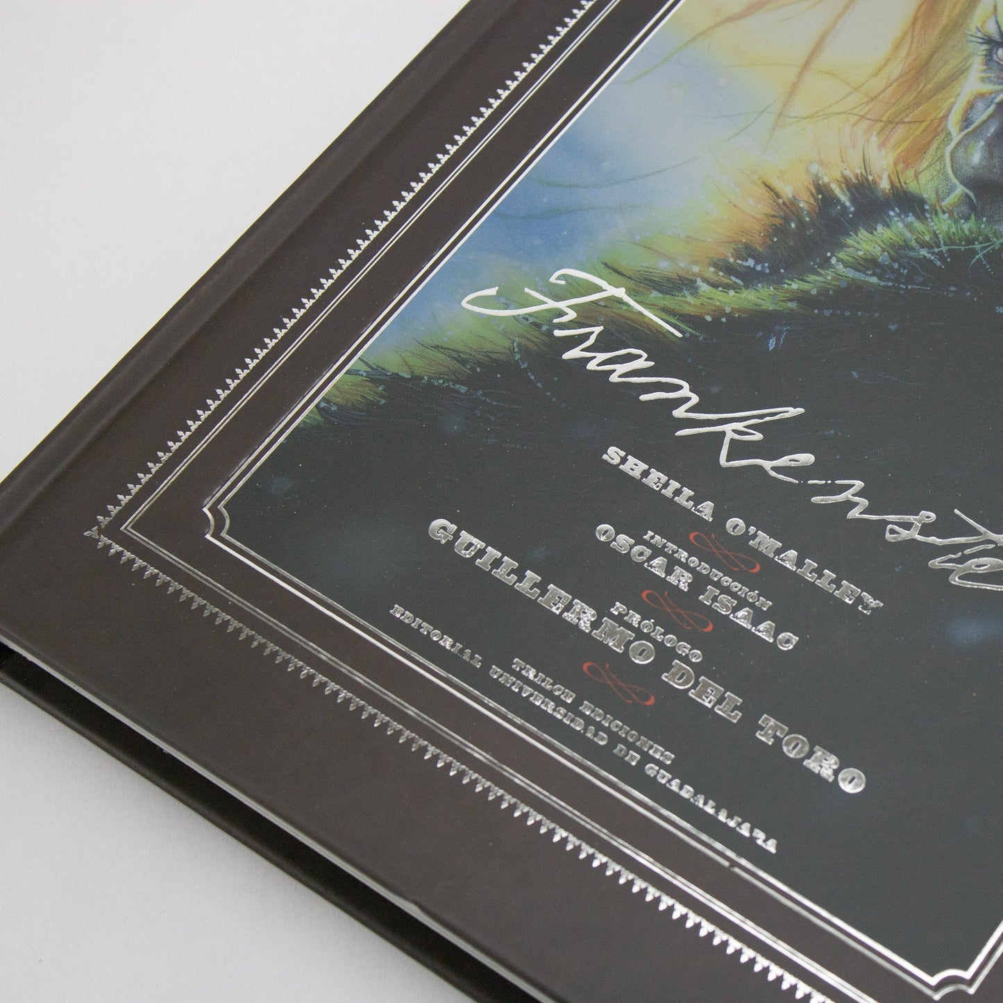 BOOK / FRANKENSTEIN. Sheila O’Malley