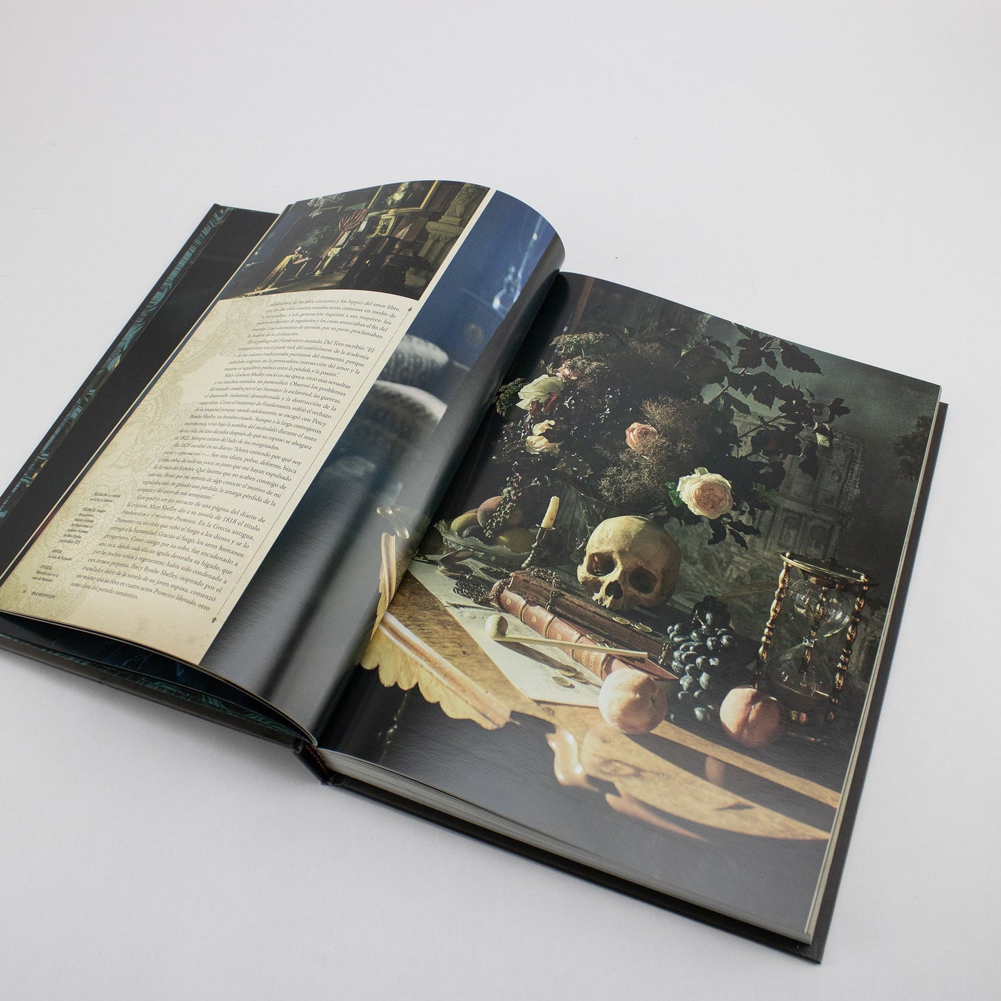 BOOK / FRANKENSTEIN. Sheila O’Malley