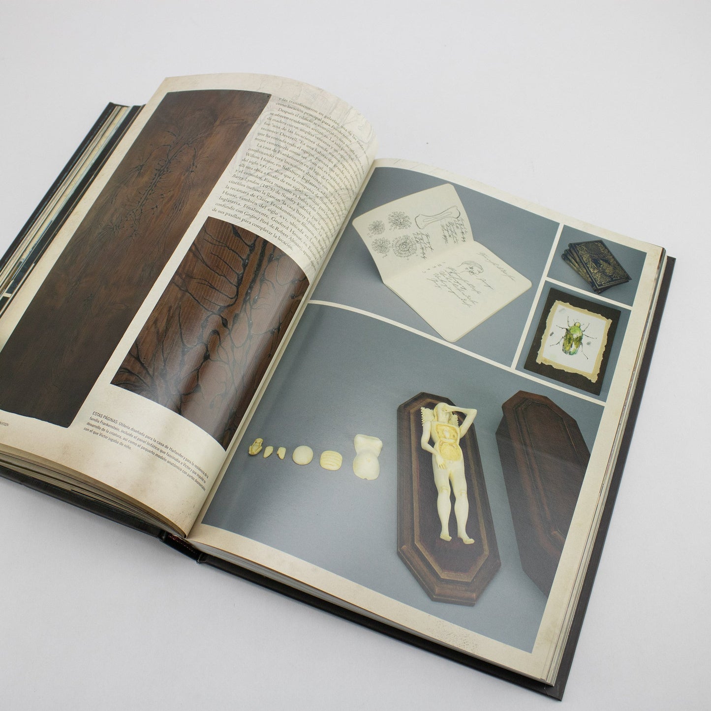 BOOK / FRANKENSTEIN. Sheila O’Malley