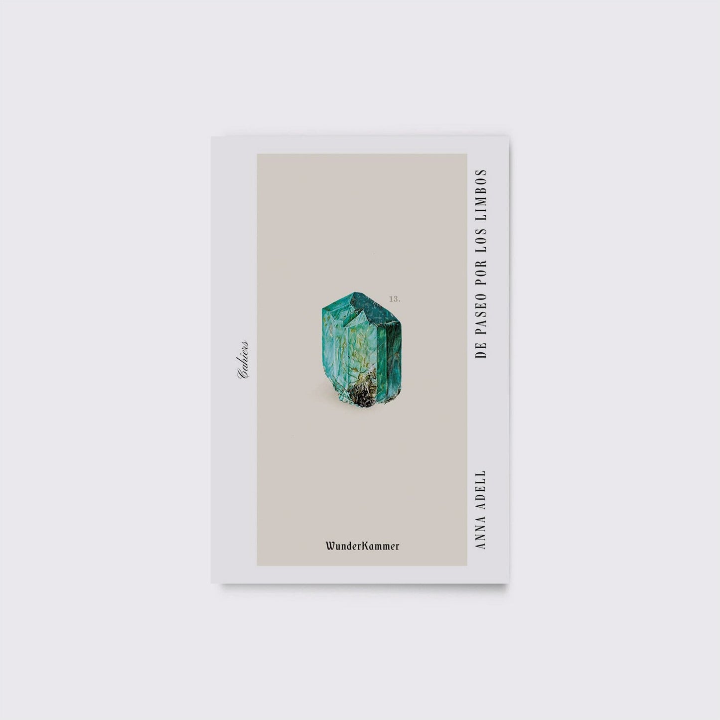 BOOK / A WALK THROUGH LIMB. Anna Adell