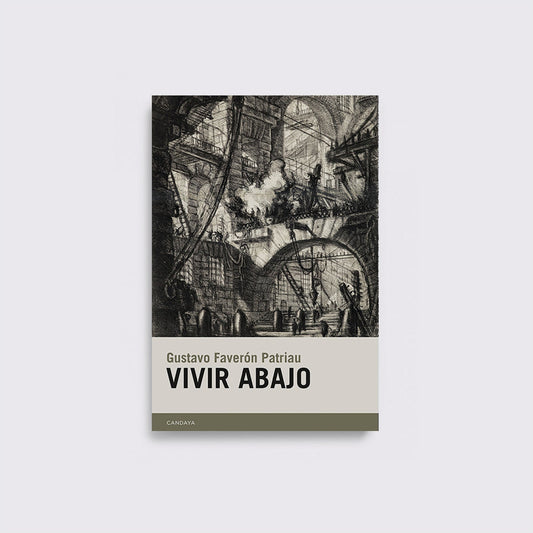 BOOK / LIVING DOWNSTAIRS. Gustavo Faverón Patriau
