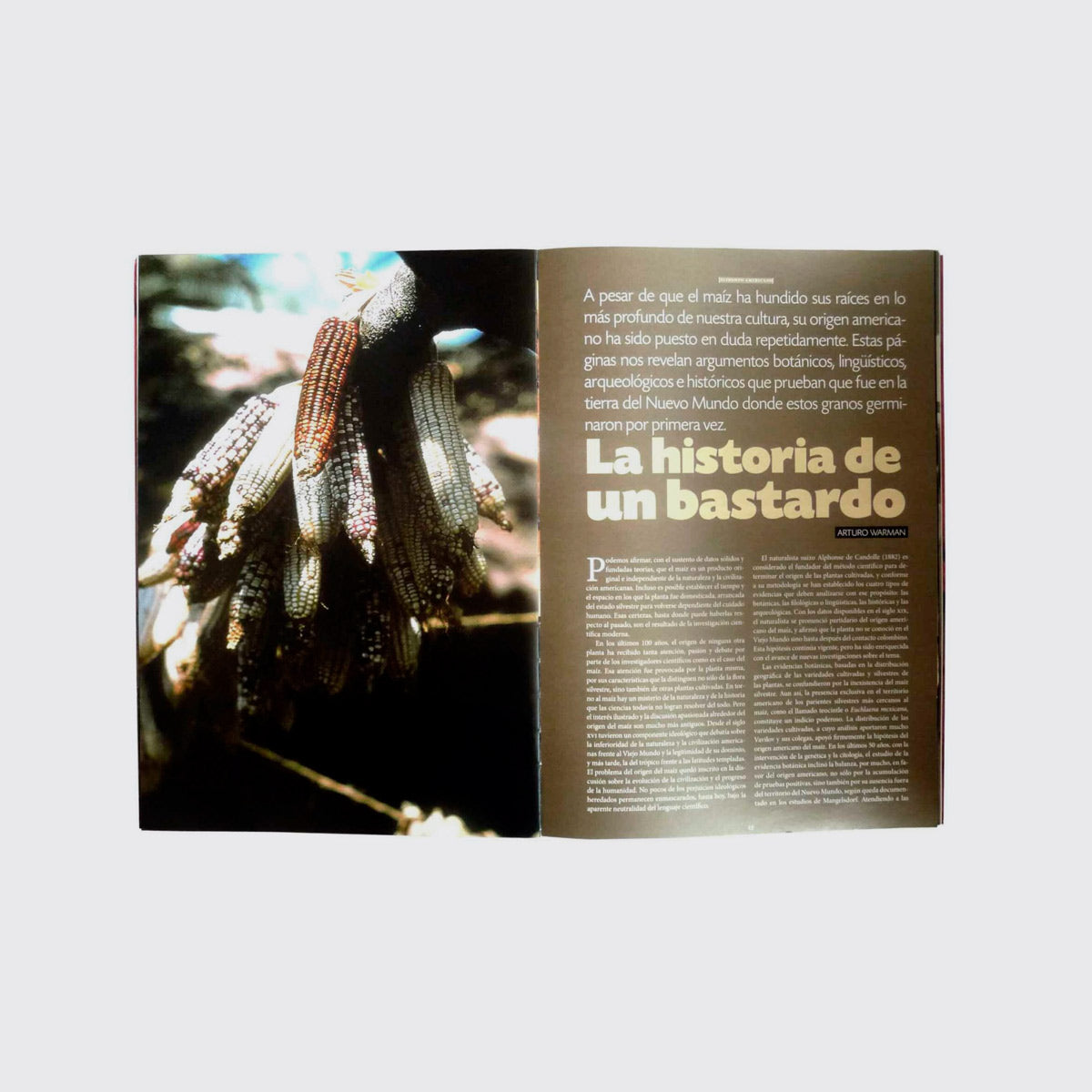 ARTS OF MEXICO / CORN RITUALS. N.78