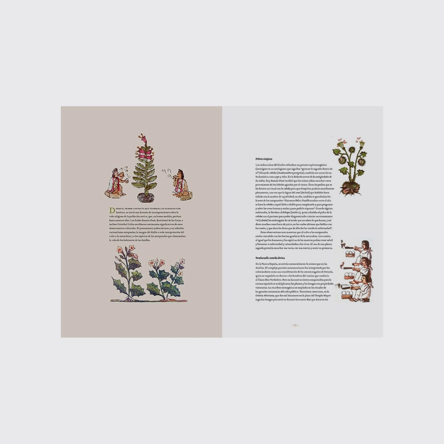 ARTS OF MEXICO / SACRED PLANTS. N.127