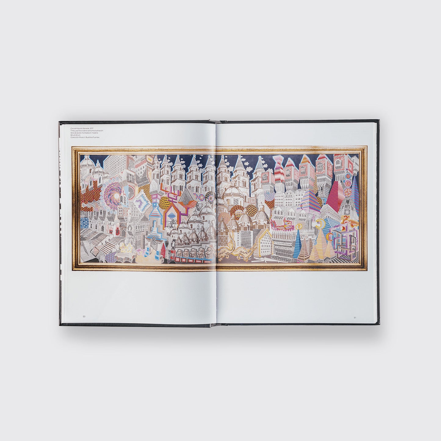 BOOK / THE IRRATIONAL HOUSE. Pedro Friedeberg