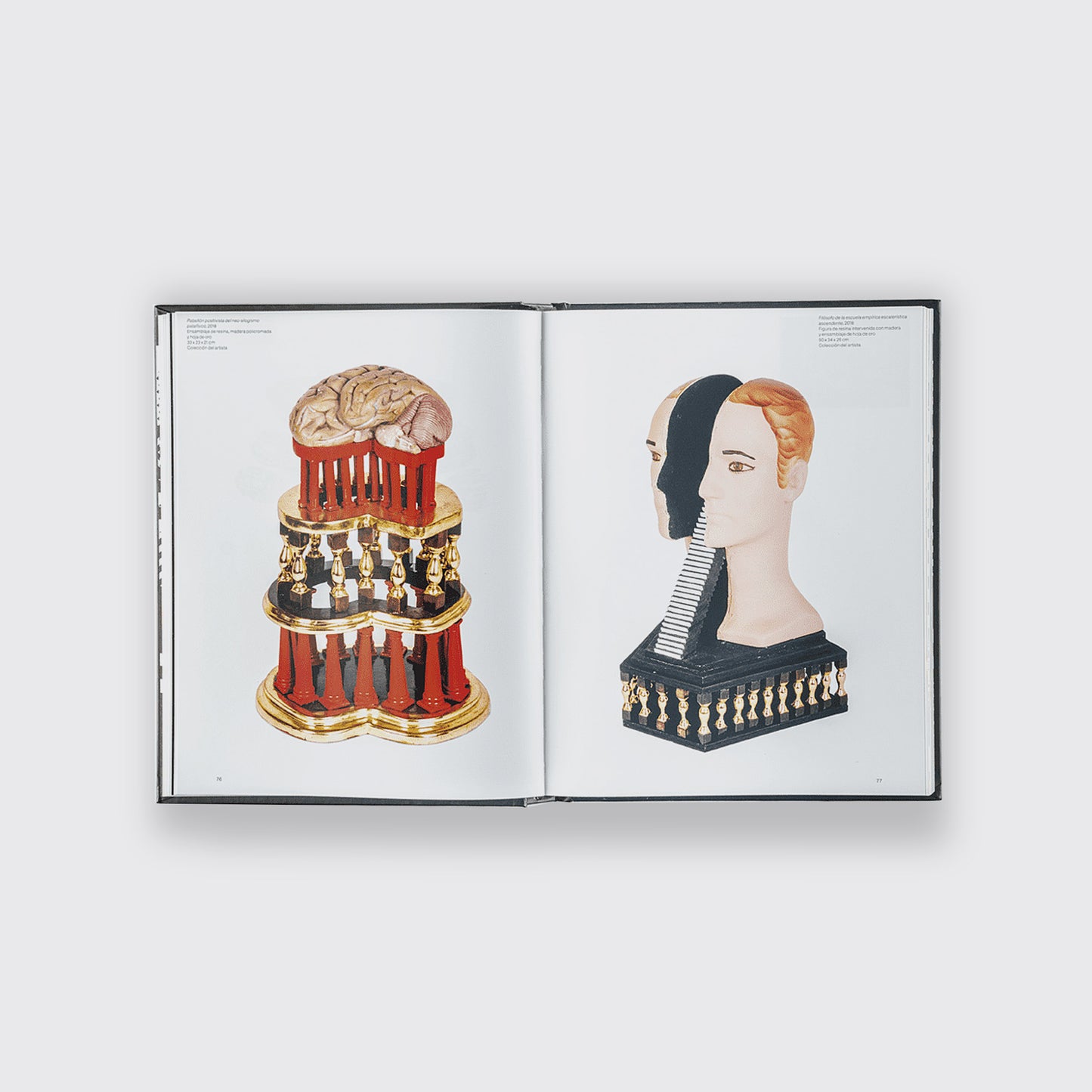 BOOK / THE IRRATIONAL HOUSE. Pedro Friedeberg