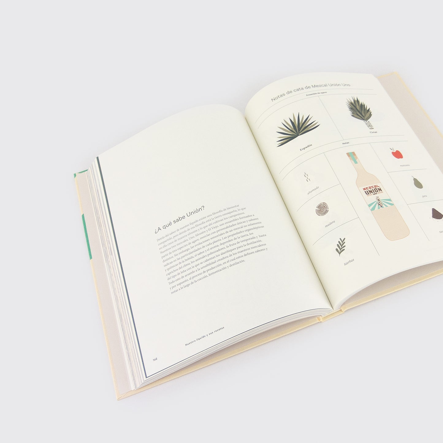 BOOK / "UNION FOR ALL"