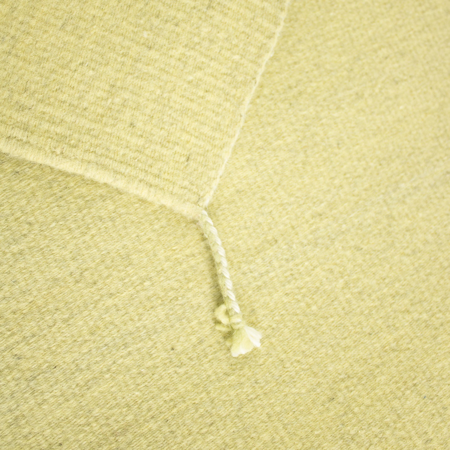 PURE WOOL RUG / COLOR SCALE TREE