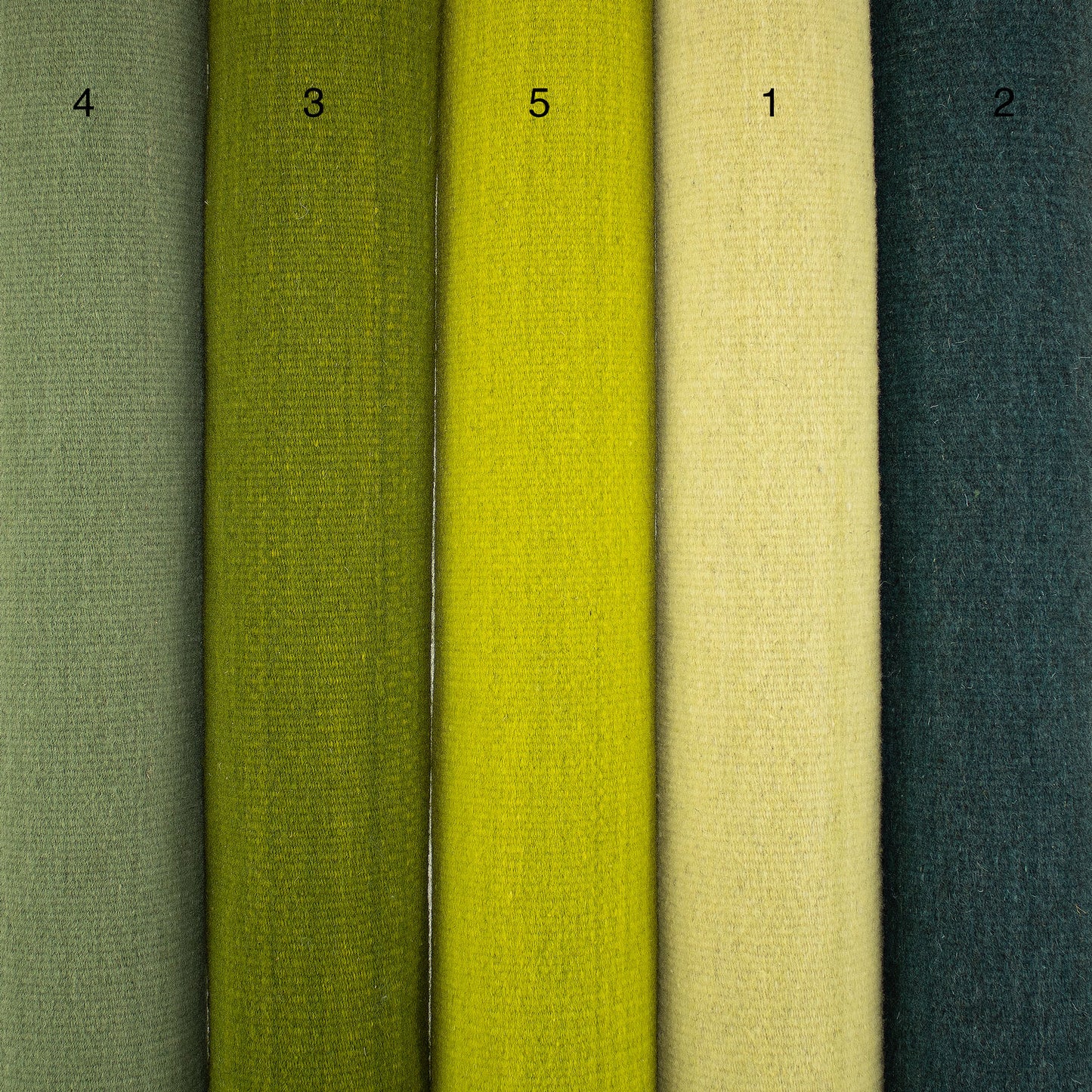 PURE WOOL RUG / COLOR SCALE TREE